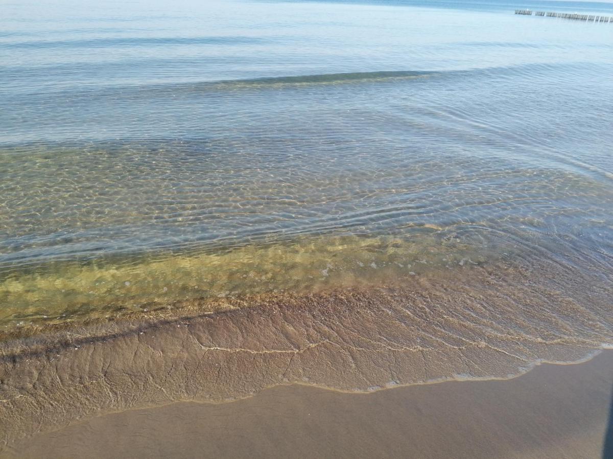 Apartament Alga Klifowa ريفال المظهر الخارجي الصورة